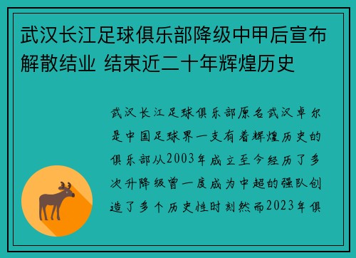武汉长江足球俱乐部降级中甲后宣布解散结业 结束近二十年辉煌历史 武汉长江足球俱乐部降级中甲后宣布解散结业 结束近二十年辉煌历史